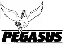PEGASUS