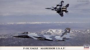 HSG00860  F-15C Eagle '' Agressor '' USAF