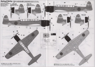 Has.09646 Nakajima C6N1 Carrier Recon. Plane Saiun Z Flags