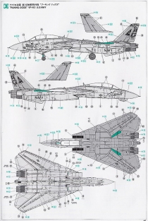 Has.09697 F-14B Tomcat VF-143 Pukin Dogs Last Cruise