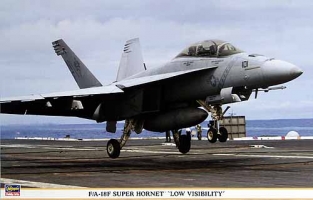 Has.09759 F/A-18F Super Hornet `Low Visibility`