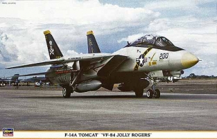 Has.09776  F14A Tomcat 