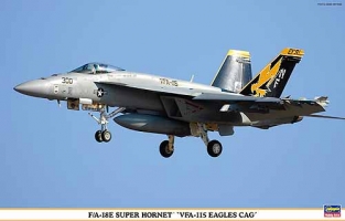 Has.09916  F/A18E Super Hornet 