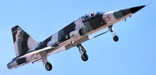 IT2615  Nortrop F-5E TIGER II.