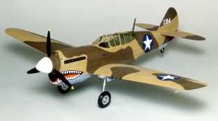 G405LC  P-40 WARHAWK 