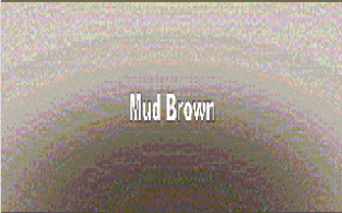 49051 Mud Brown Spray  200ml.