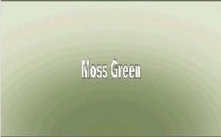49052 Moss Green Spray  200ml.