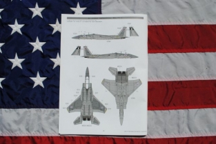 Great Wall Hobby L4815 F-15B/D Israeli Air Force & U.S. Air Force