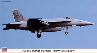 HSG00829  F/A-18E Super Hornet  '' Low Visibility ''