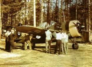 Hasegawa 00915 B-239 Buffalo  ''Finnish Air Force''