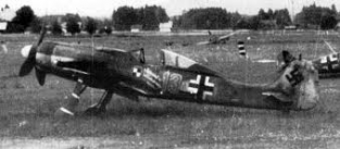 HSG51306 Focke Wulf Fw-190D.9