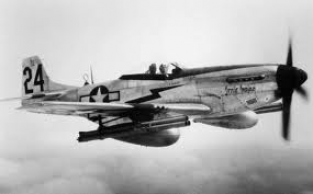 HSG51321  P-51K Mustang '' USAAF ''