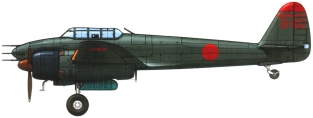 EDMP-17 Nakajima J1N1-S GEKKO