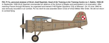 IBG 72529 Combat Trainers 2 in 1: PZL P.11a and PZL.23A Karaś