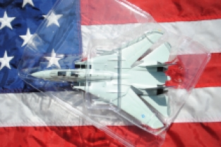 Easy Model 37185 F-14B Tomcat VF-143, 2001