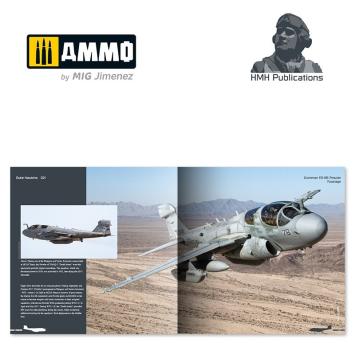 HMH Publications 021 Grumman EA-6B Prowler 'Flying with the US Navy and Marines Corps' by Duke Hawkins