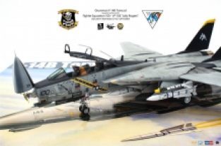 AMK 88007 F-14D SUPER TOMCAT