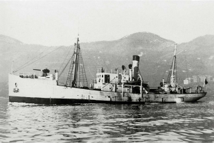 DM057 mas e rimorchiatori / Torpedoboat and tugboat