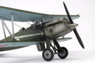 Nakotne NE2001 N. Polikarpov I-3