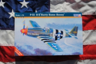 Mister Craft C-49 North American P-51 B-5 'Hurry Home Honey'