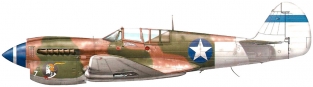 SH.72149  P-40F Warhawk 