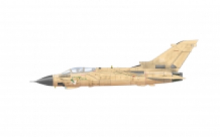 Eduard 2137 Panavia Tornado GR Mk.1 Desert Babes