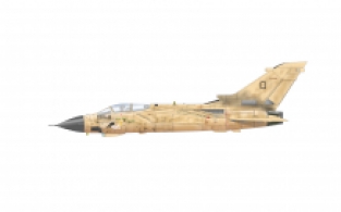 Eduard 2137 Panavia Tornado GR Mk.1 Desert Babes