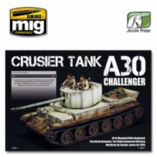 Ammo by Mig 0051 PANZER ACES Special Winter Camouflages