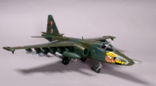 MasterCraft D-10 Sukhoi Su-25K Frogfoot